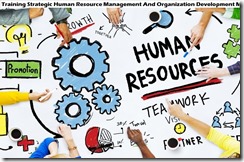training strategic human resource management murah