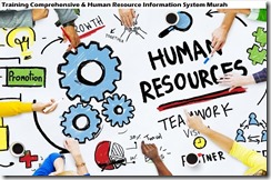 training human resource information system murah