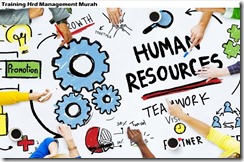 training human resource development management murah