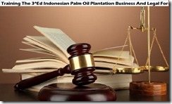training indonesian palm oil plantation business murah