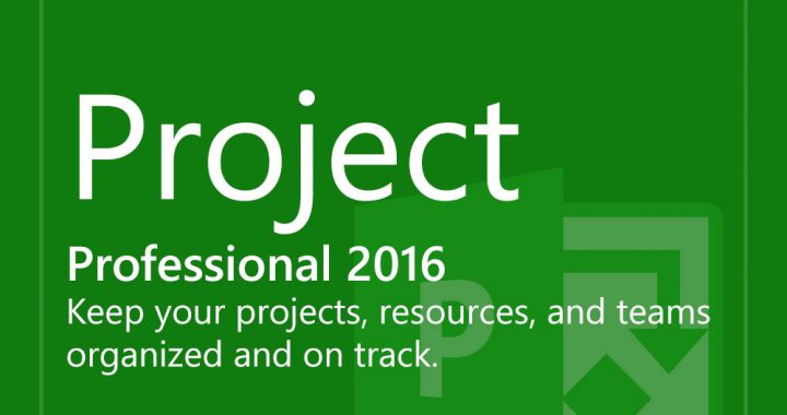 TRAINING ONLINE MICROSOFT PROJECT
