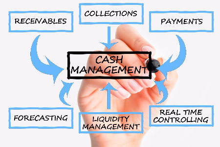 TRAINING ONLINE TREASURY & CASH MANAGEMENT FOR MANUFACTURING APPLICATION