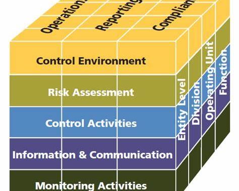TRAINING ONLINE COSO 2013 : IMPLEMENTING THE FRAMEWORK