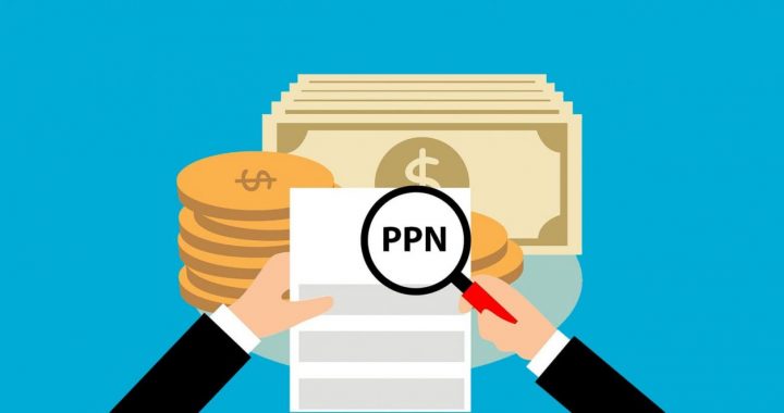 TRAINING ONLINE KUPAS TUNTAS PERMASALAHAN DAN PEMERIKSAAN PPN