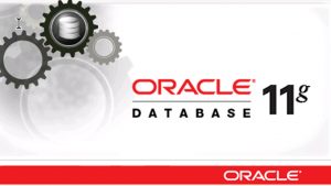 TRAINING ONLINE ORACLE DATABASE 11G: ADMINISTRATION II