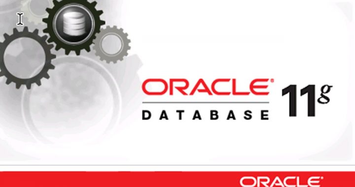 TRAINING ONLINE ORACLE DATABASE 11G: ADMINISTRATION II