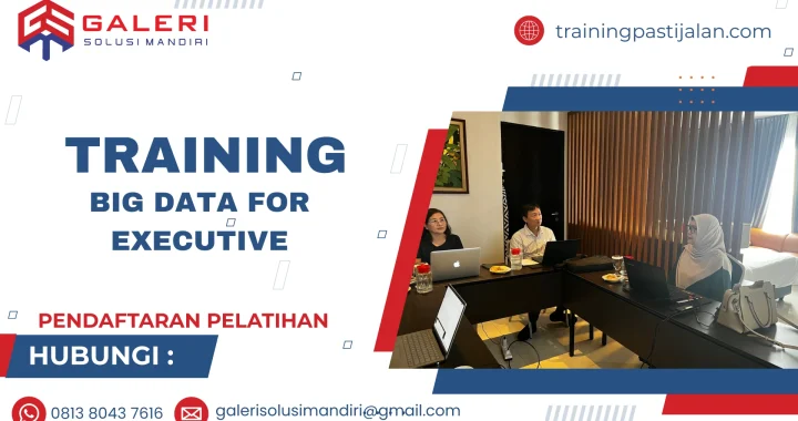 training big data for executive