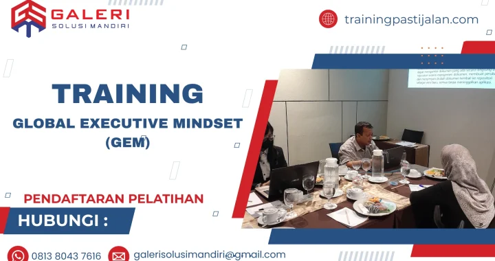 TRAINING GLOBAL EXECUTIVE MINDSET (GEM)